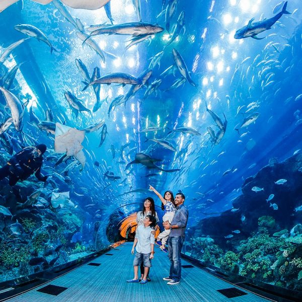 Dubai Mall Aquarium Tickets