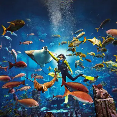 Lost Chambers Aquarium Dubai Tickets