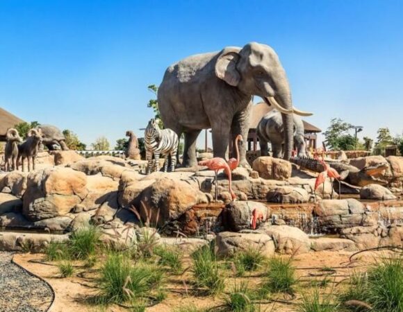 The Top 5 Must See Attractions in Dubai Safari Park