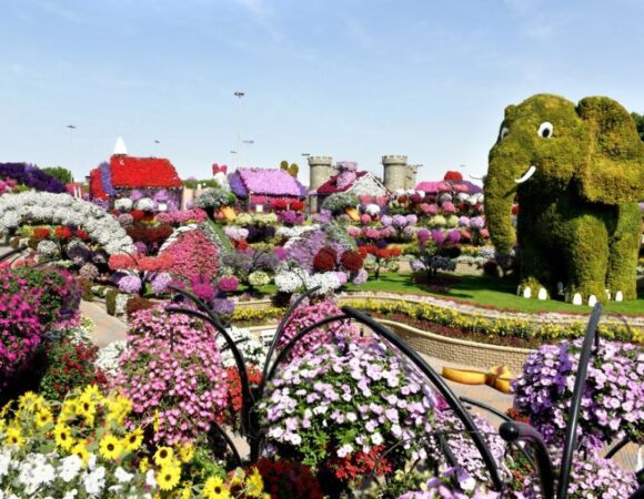 Top Must See Attractions at Dubai Miracle Garden