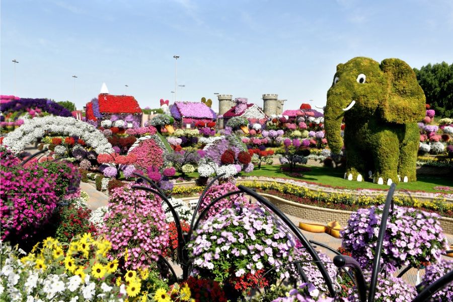 Attractions at Dubai Miracle Garden