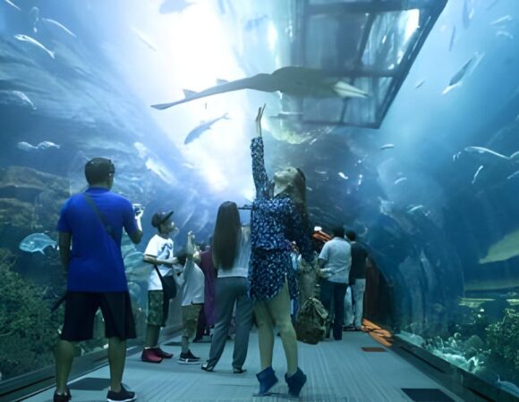 Insider Tips for Visiting Dubai Mall Aquarium and Underwater Zoo