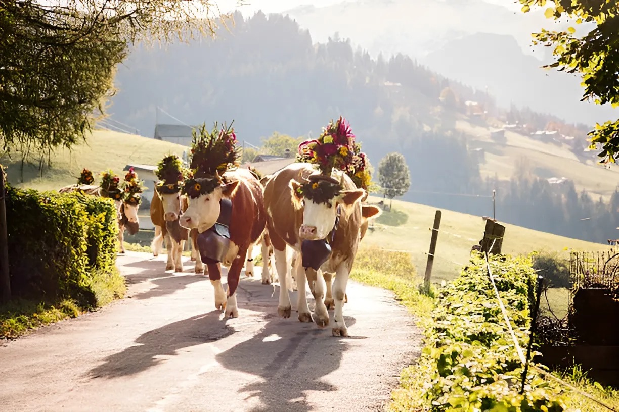 Famous Festival in Switzerland
