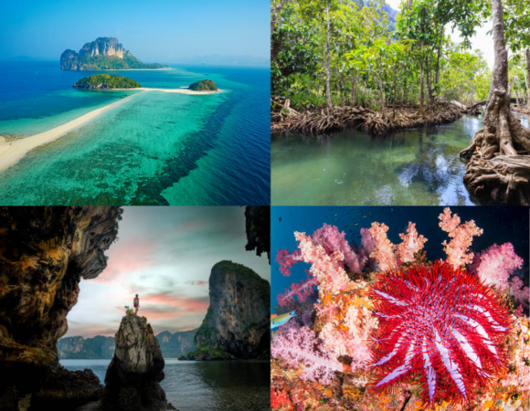 The Best Krabi Tours and Activities in 2024.