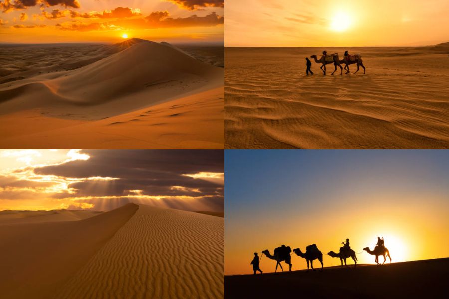 The Best Activities to Enjoy on a Dubai Evening Desert Safari