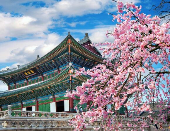 10 Must-Visit Places in South Korea for First-Time Visitors