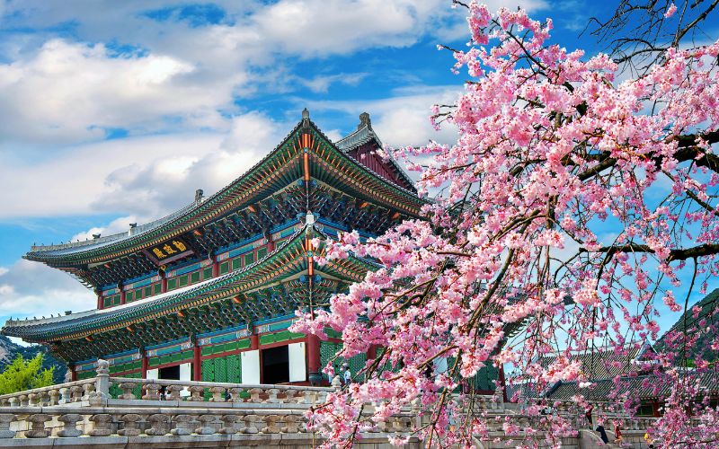 Must-Visit Places in South Korea
