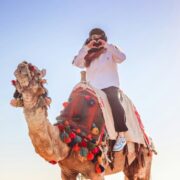 Dubai Safari Park Ticket
