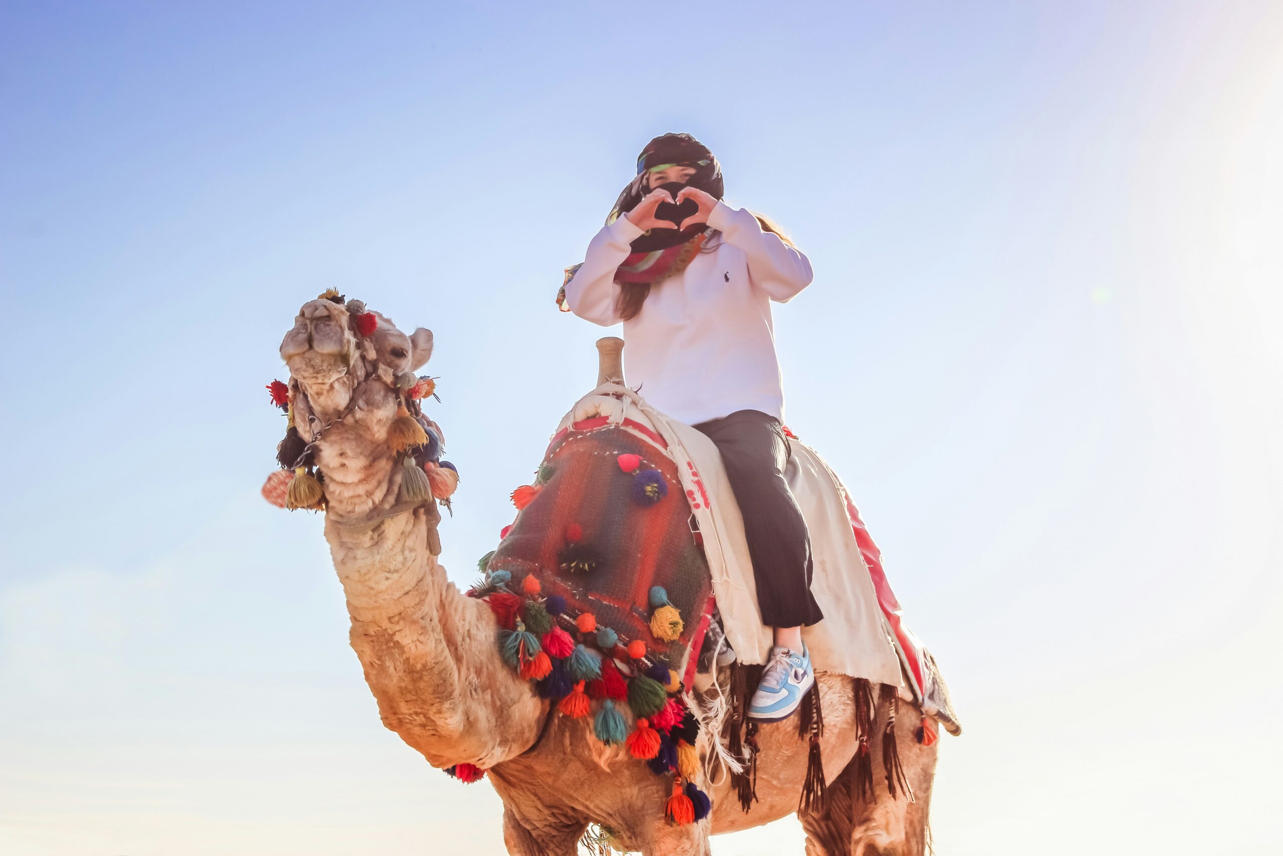 Dubai Safari Park Ticket