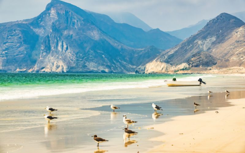 Beaches in Salalah