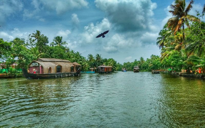 6 Monsoon Travel Experiences in Kerala
