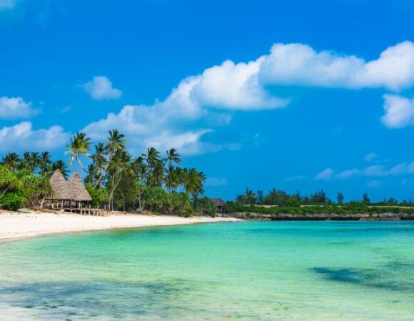 Family-Friendly Things to Do in Zanzibar