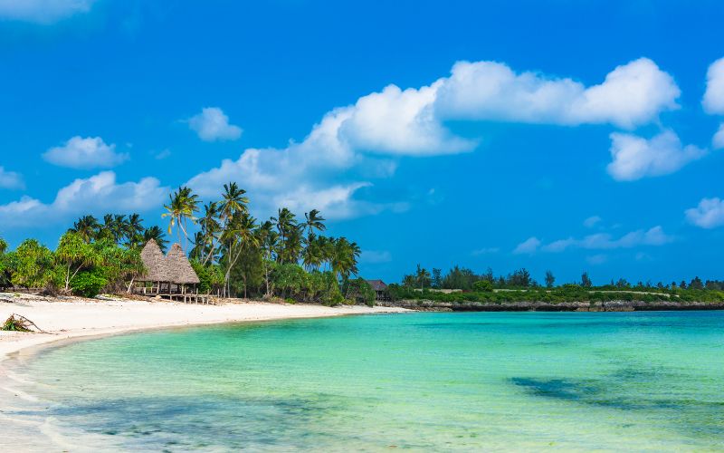 Friendly Things to Do in Zanzibar