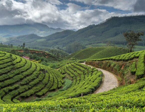 6 Monsoon Travel Experiences in Kerala