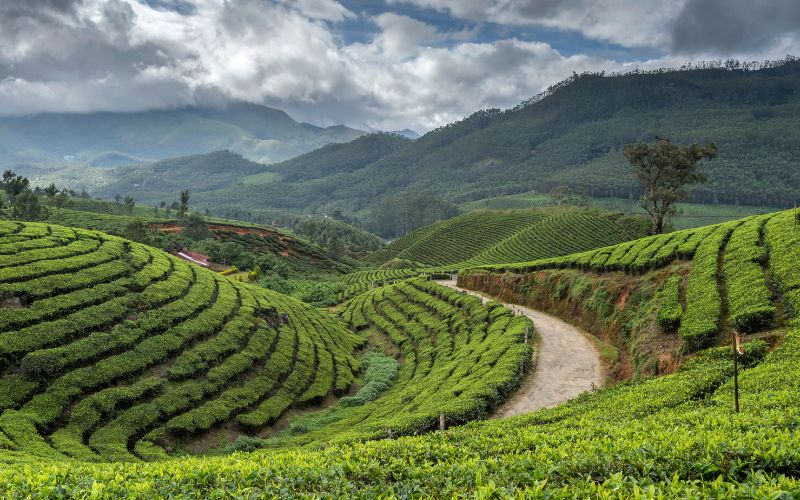 Travel Experiences in Kerala