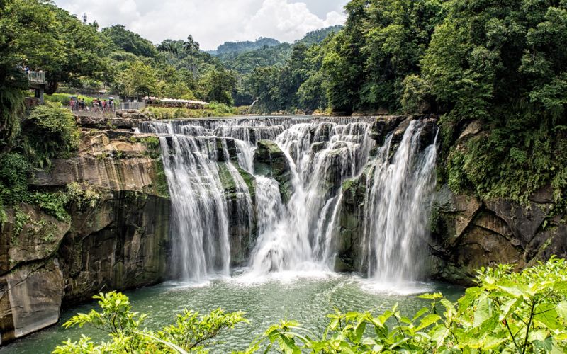 Wayanad Monsoon Jungle Treks and Waterfalls