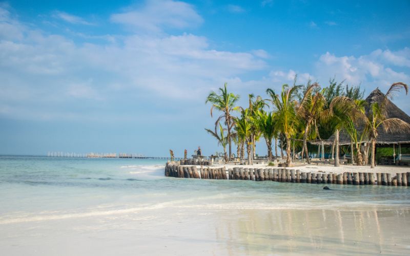 Things To Do in Zanzibar
