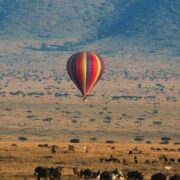 Safari Experiences in Kenya